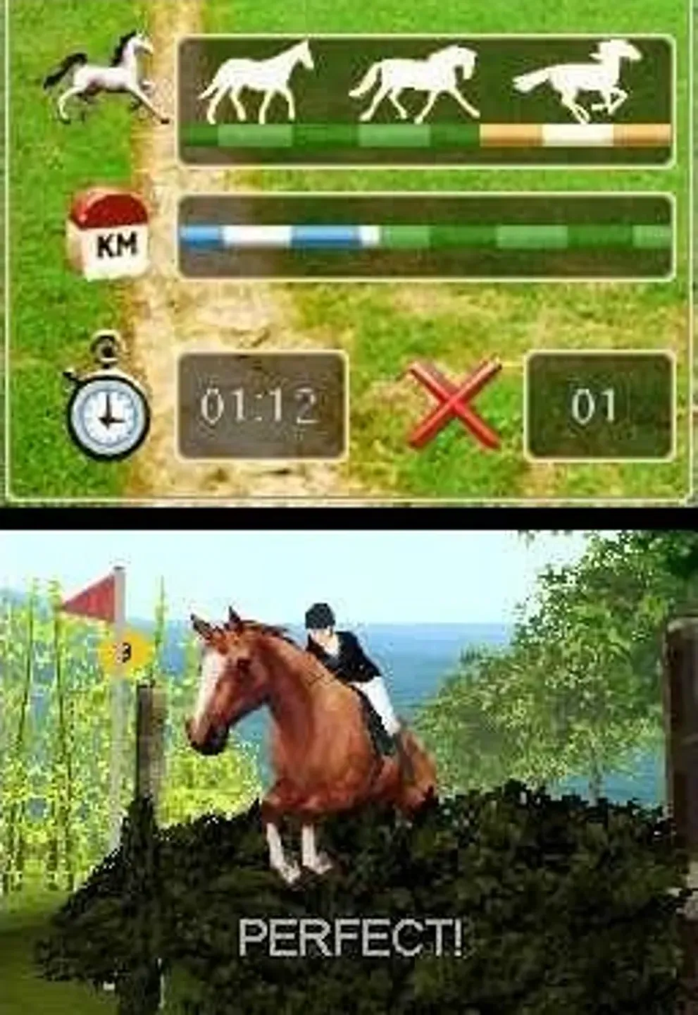 Secret horse files 4. Horse Life для Nintendo DS. Игра Horse Life (DS). Horse Trainer Nintendo DS. Farm Life - manage your own Farm Nintendo DS.